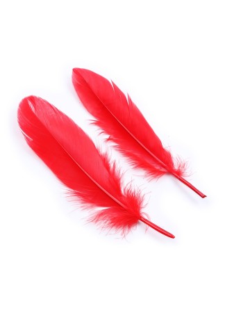 Kit coquin 4 pièces : Menottes, 2 plumes et masque rouge - 332400005