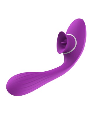 2 en 1 Stimulateur de clitoris avec langue et vibromasseur pour G USB flexible violet DISA - WS-NV025