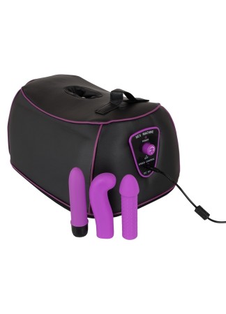 Sex machine pour des plaisirs féminin et masculin - ORI584193