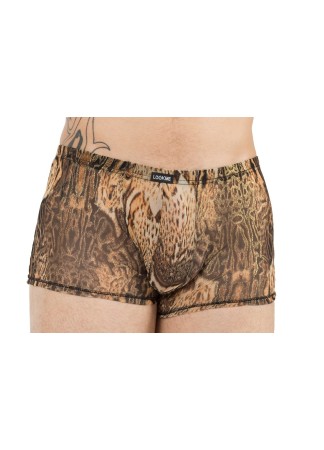 Boxer Savanna  - LM61-67