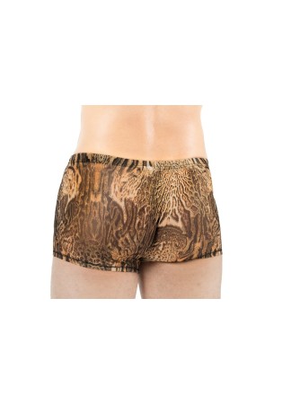 Boxer Savanna  - LM61-67